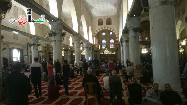 كفرقاسم :المعتمرون يلتقون في المسجد الاقصى المبارك  بعد عودتهم من الديار الحجازية